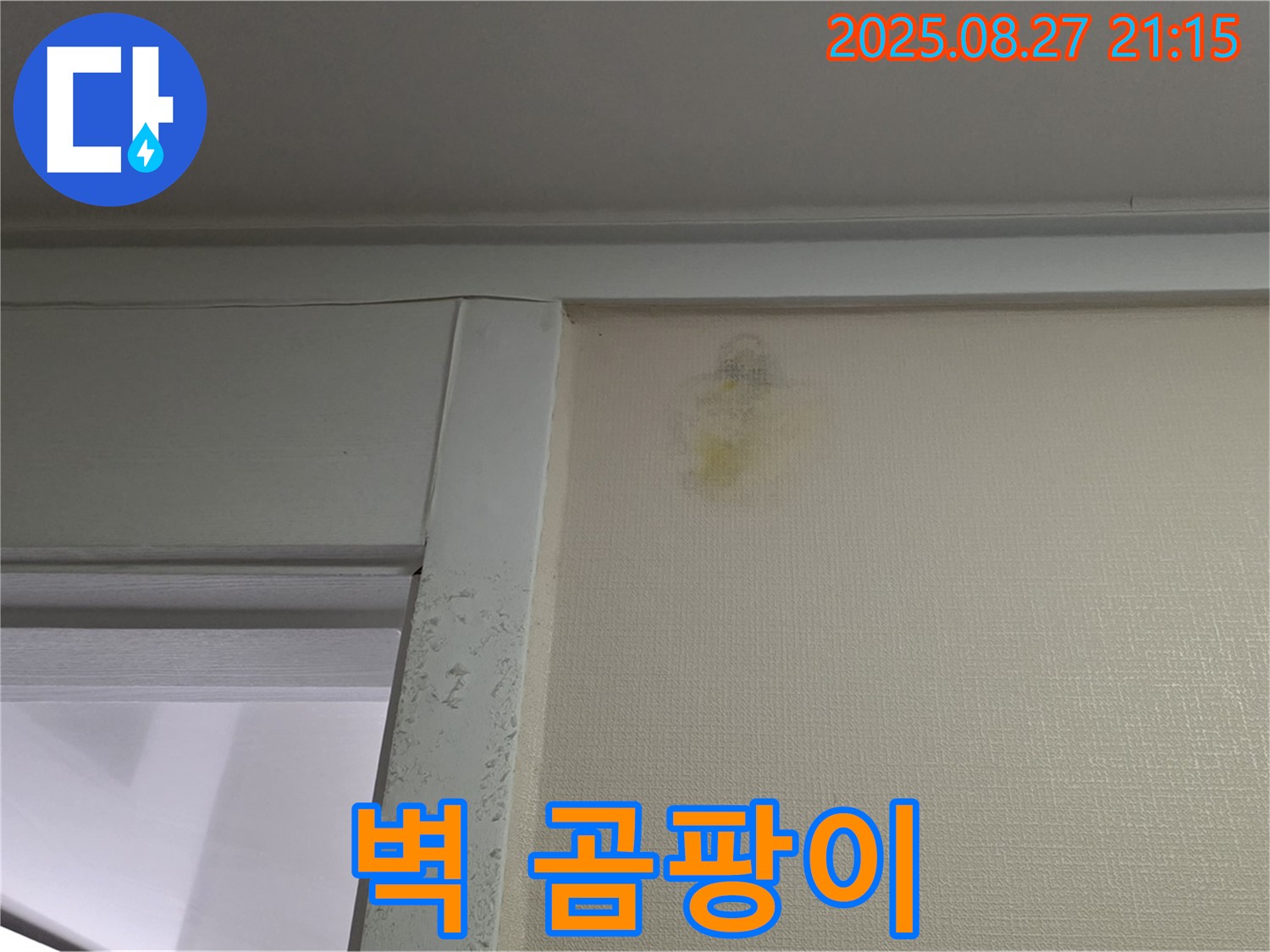 분당 운중동 산운마을 6단지 - 벽 곰팡이 - 완벽 제거