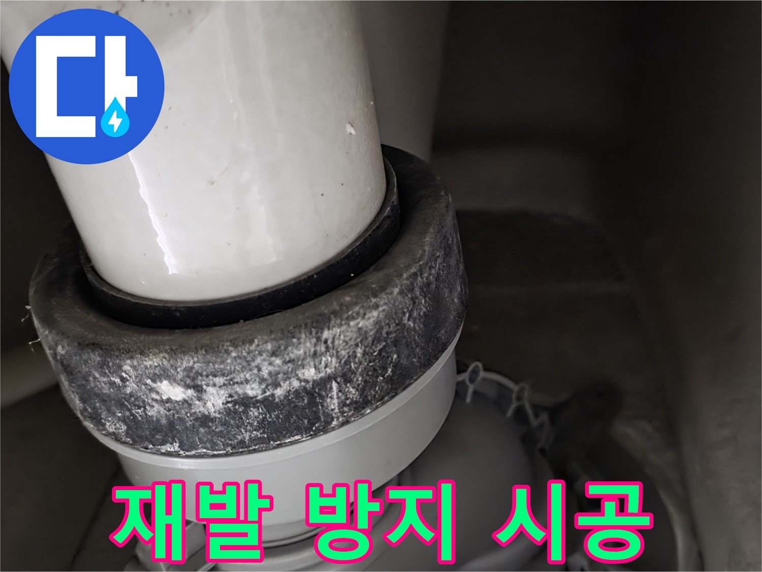 분당 운중동 산운마을 6단지 변기 누수 - 백화 재발 방지를 위한 꼼꼼한 시공