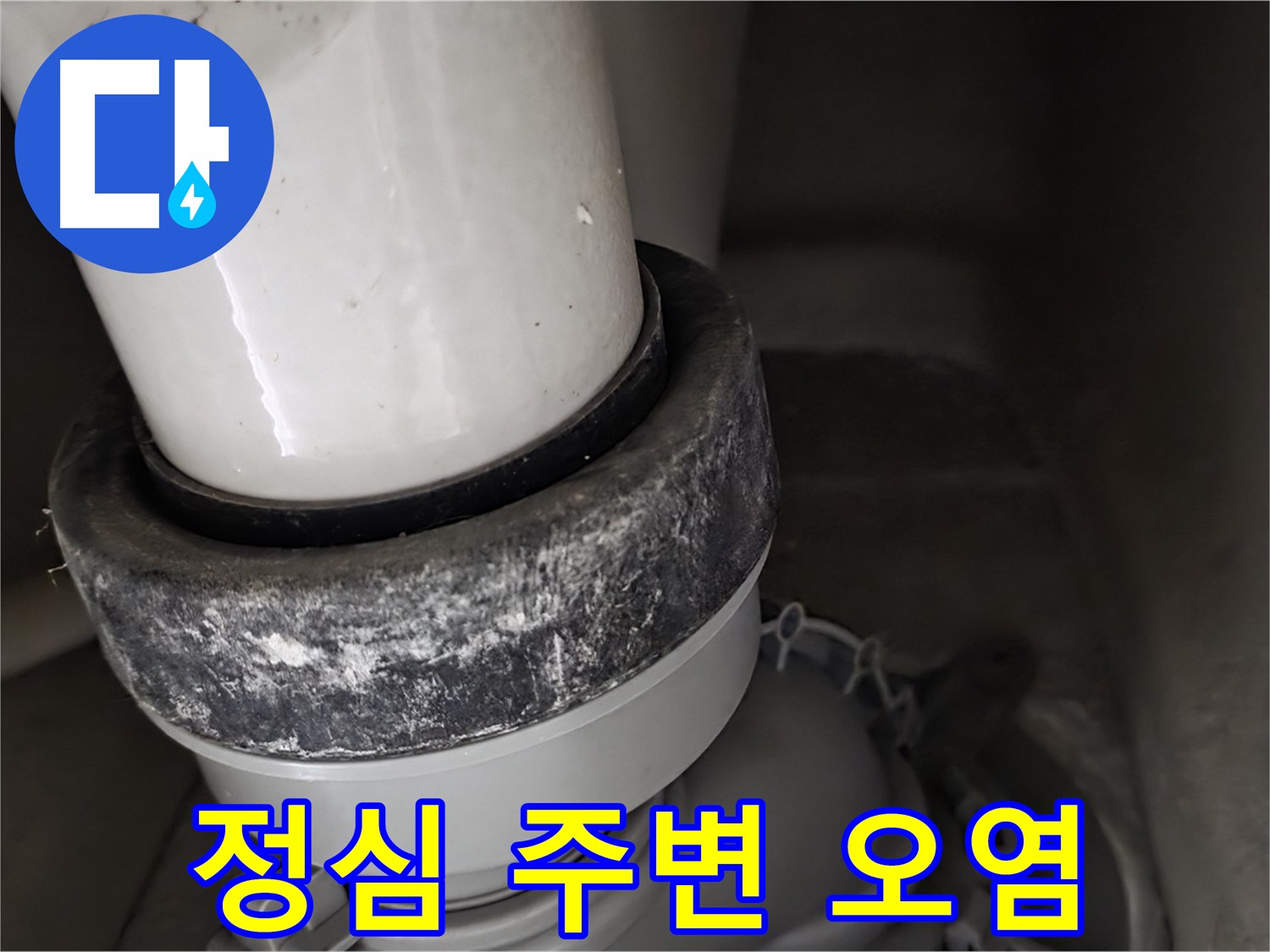분당 운중동 산운마을 6단지 변기 누수 - 정심 주변 오염이 심각한 상태