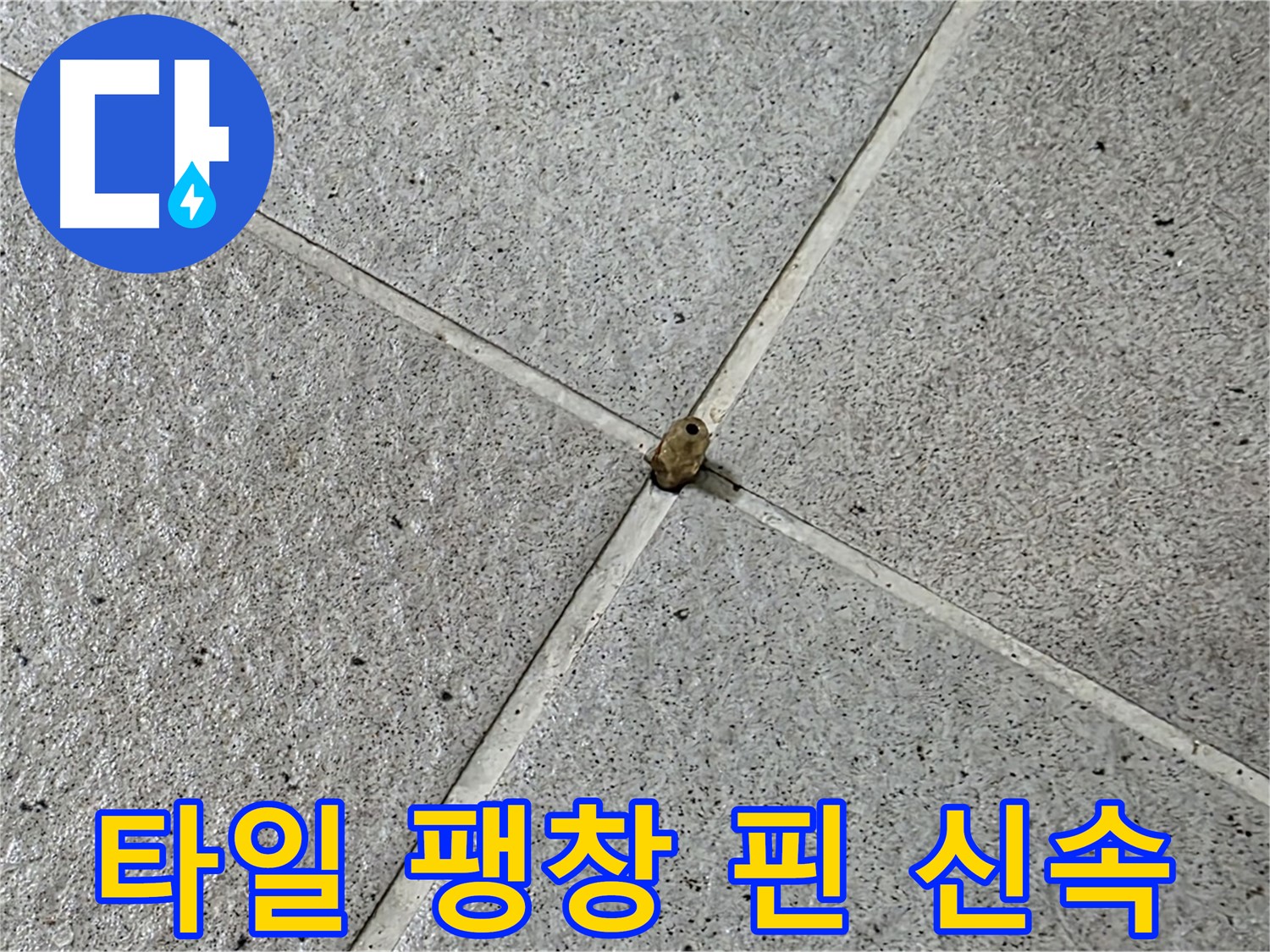 분당 운중동 산운마을 6단지 - 타일 팽창 핀 누수, 신속하게 해결해 드립니다!