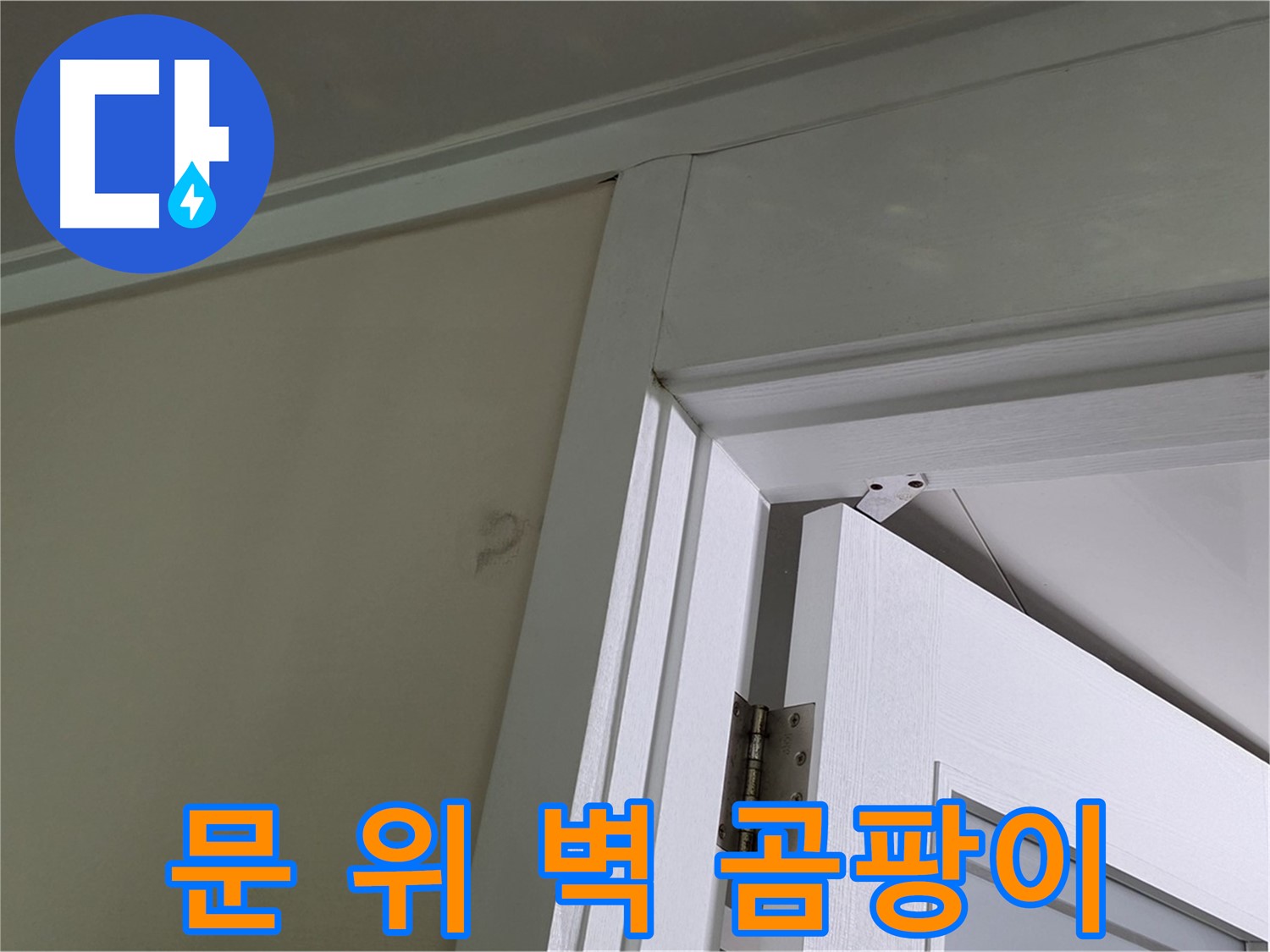 분당 운중동 산운마을 아파트 - 문 위 벽 모서리에서 발견된 곰팡이 - 꼼꼼한 점검으로 누수 원인을 파악하고 해결합니다.