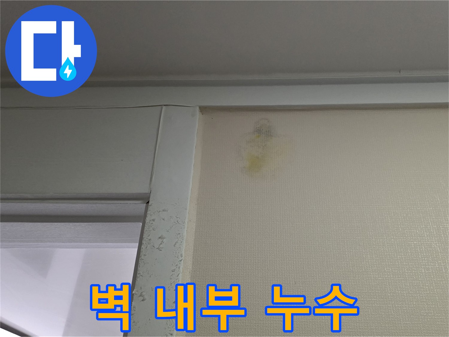 분당 운중동 산운마을 아파트 벽 내부 누수 의심 - 정밀 탐지 필요