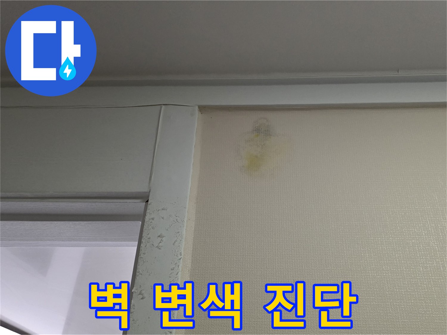 분당 운중동 산운마을 아파트 - 벽 변색 초기 발견 및 정밀 진단