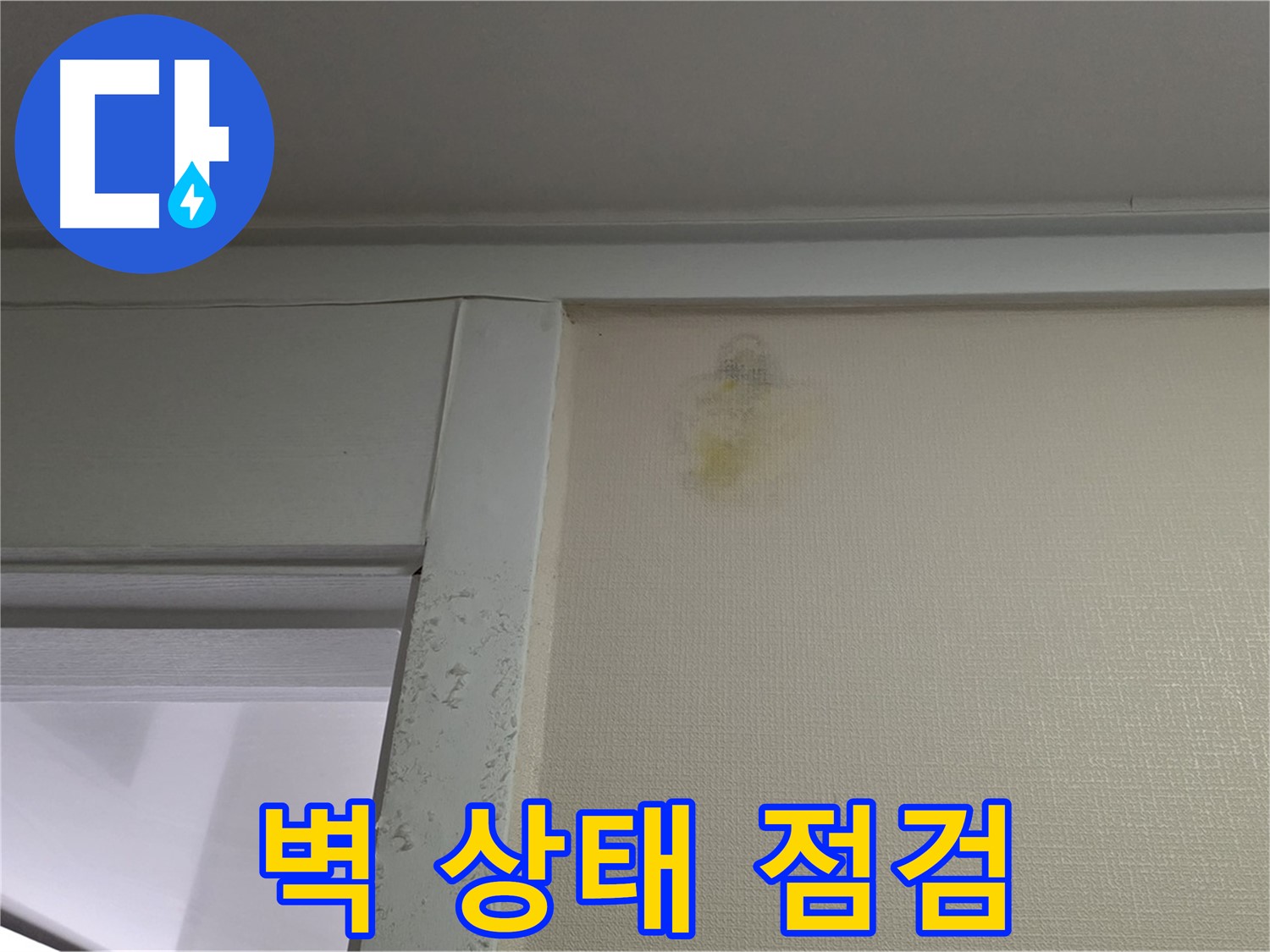 분당 운중동 산운마을 아파트 - 벽 상태 점검 및 초기 누수 진단