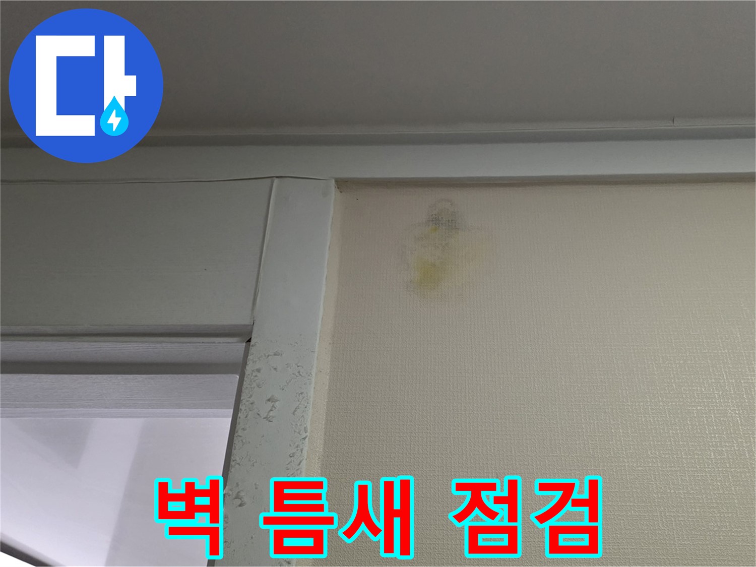 분당 운중동 산운마을 아파트 벽 틈새 누수 - 초기 발견 및 정밀 점검 진행