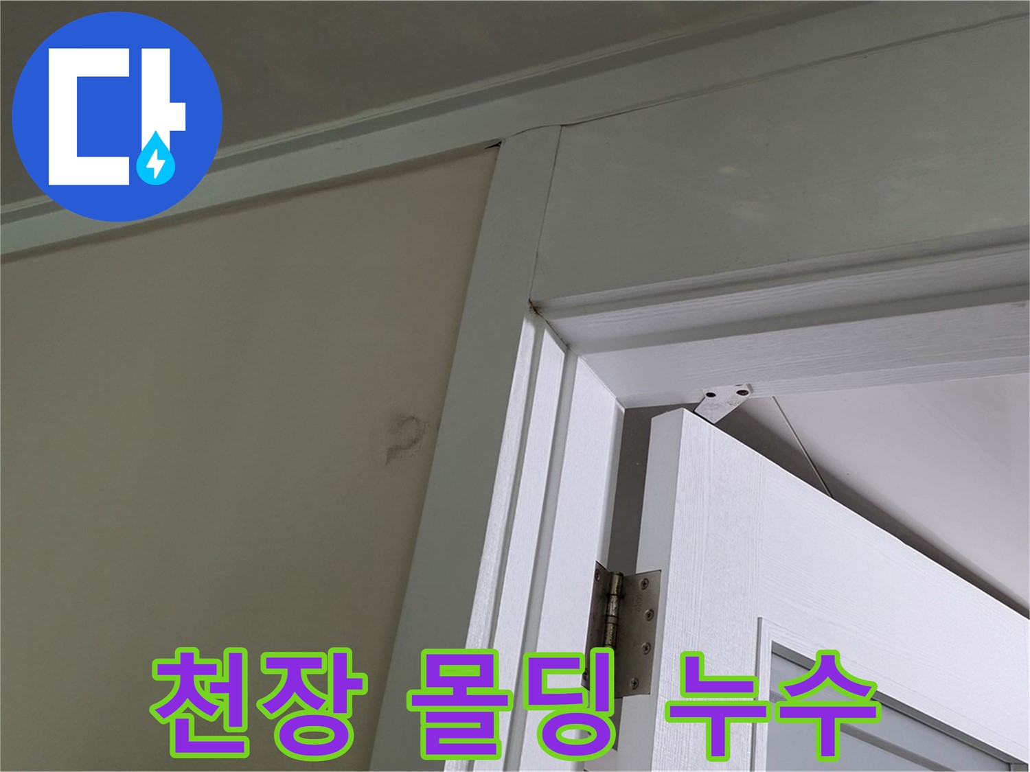 분당 운중동 산운마을 아파트 - 천장 몰딩에서 발견된 누수, 꼼꼼한 점검으로 원인을 파악합니다.