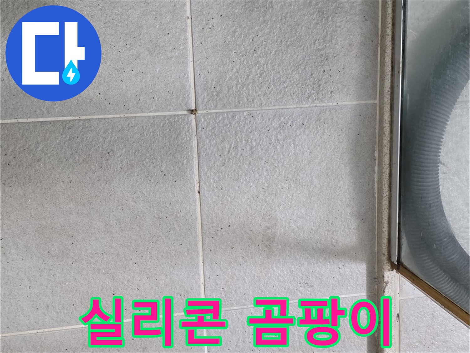 분당 운중동 욕실 샤워부스 - 실리콘 변색과 곰팡이는 습기 침투의 증거입니다.
