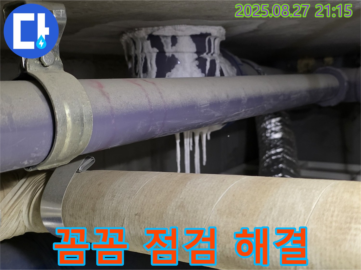 분당구 운중동 산운로 아파트 - 꼼꼼한 누수 점검으로 완벽한 문제 해결