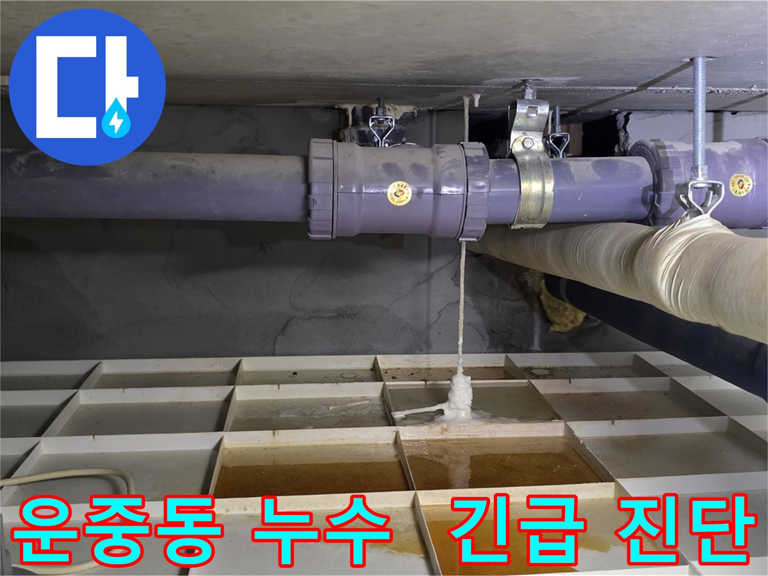 분당구 운중동 산운마을 배관 연결 부속 누수 - 긴급 누수 진단이 필요합니다