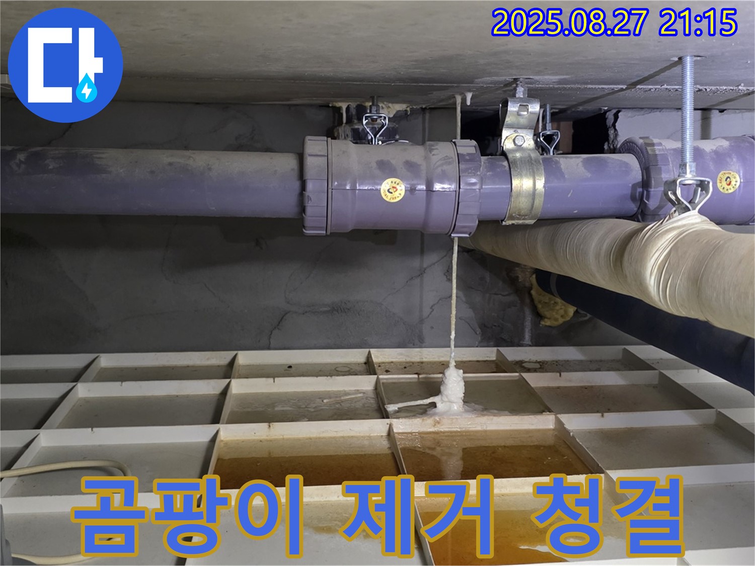 분당구 운중동 산운마을6단지 - 누수 부위 곰팡이 제거, 깨끗하게 마무리