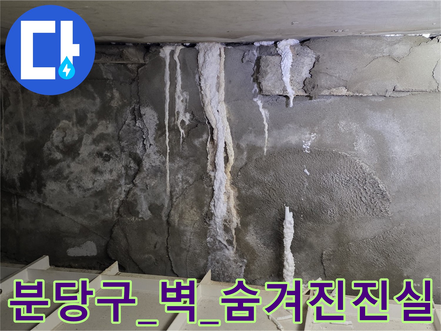 분당구 콘크리트 벽 - 석회수 미로, 숨겨진 진실 밝혀