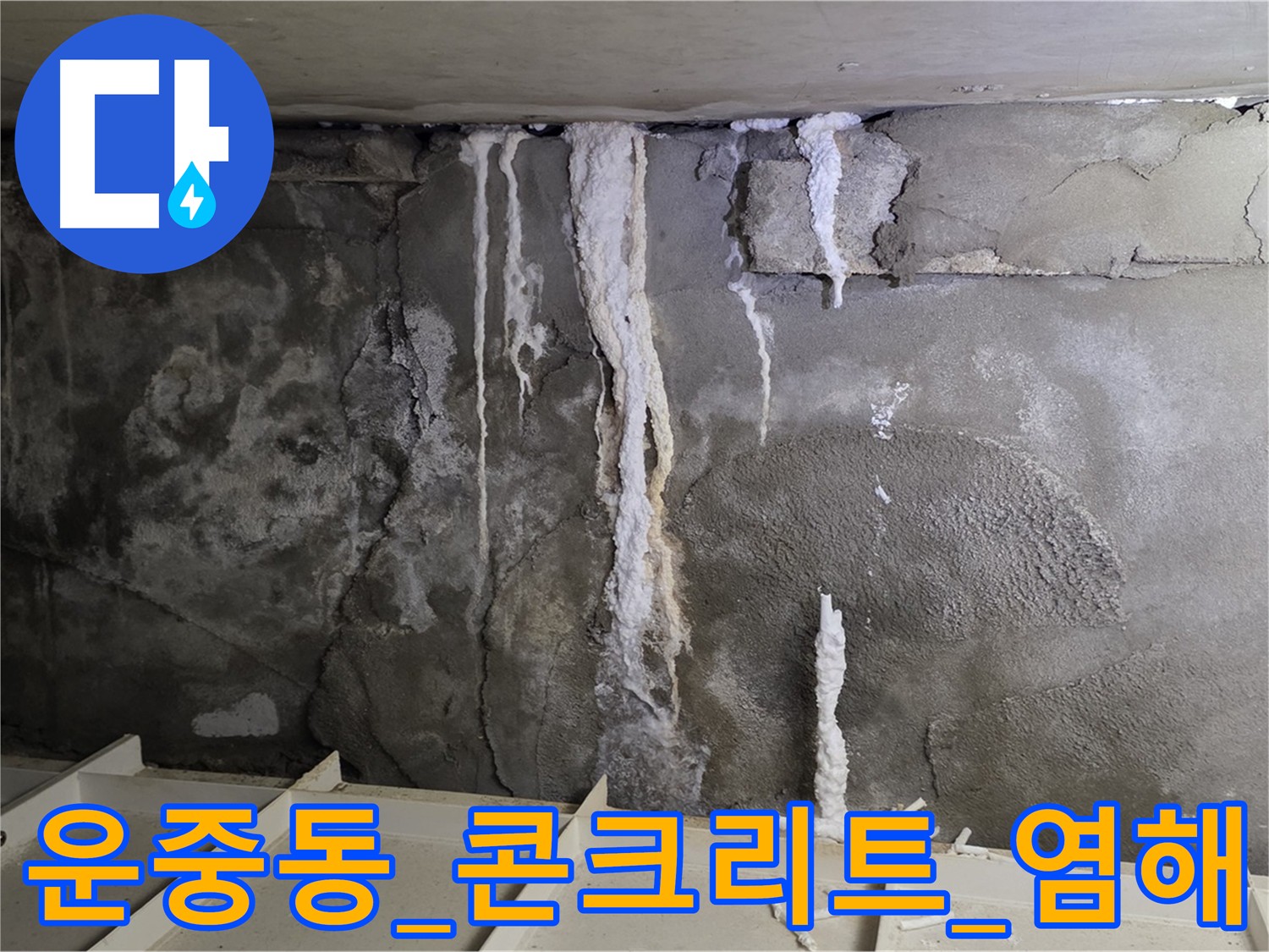 운중동 콘크리트 누수 - 염해로 인한 손상