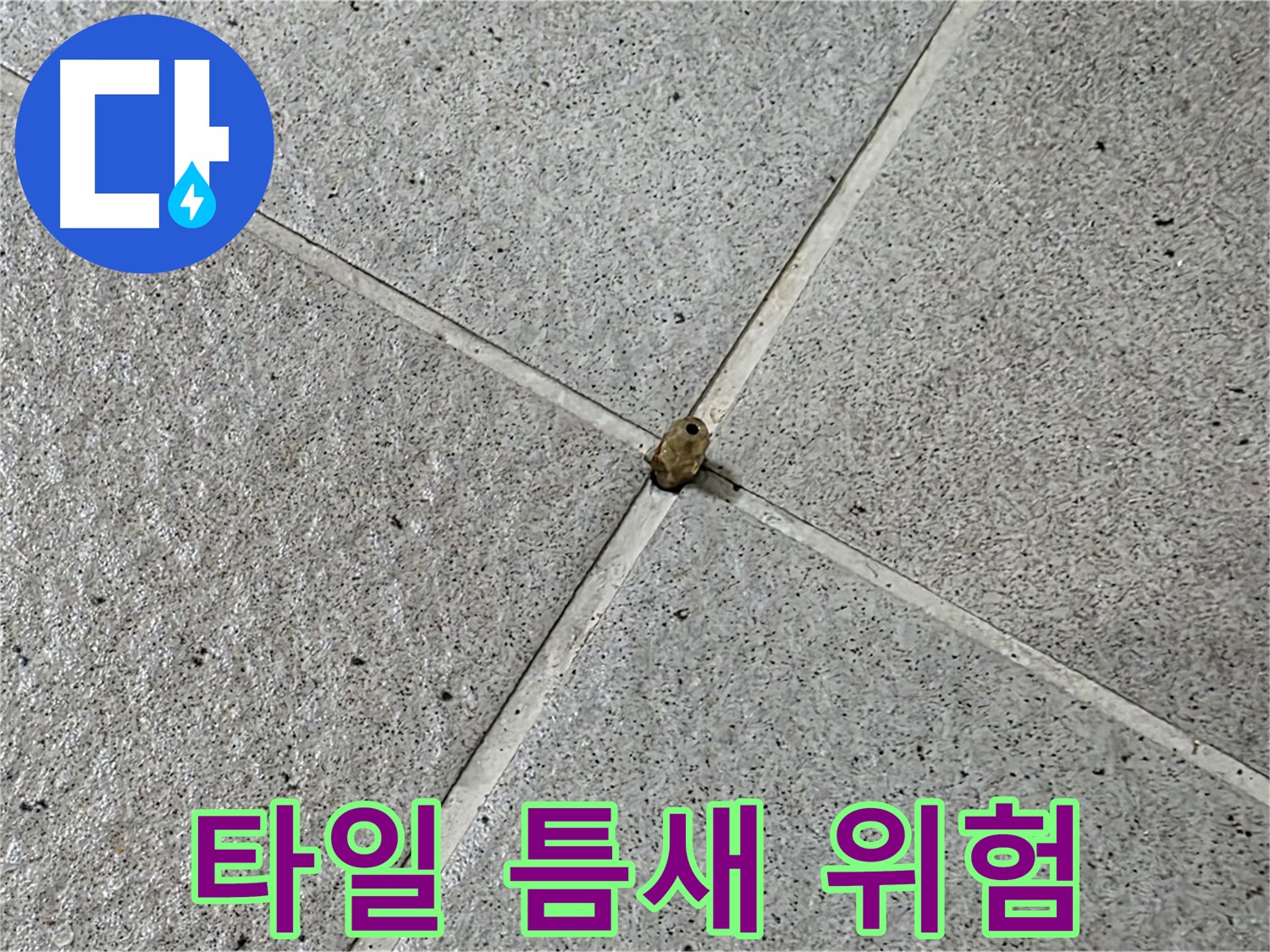 성남 분당 산운로 - 타일 틈새 누수, 작은 틈이라도 방심하지 마세요!