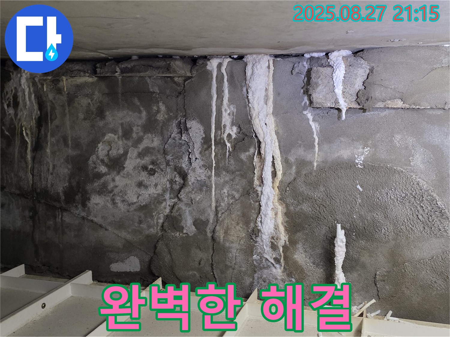 성남 분당 운중동 산운마을6단지 콘크리트 누수 - 완벽한 누수 해결, 고객 만족 보장