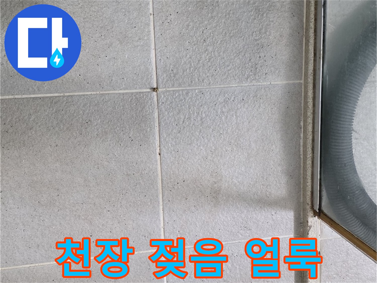 성남 분당 운중동 욕실 천장 - 석고보드 젖음과 얼룩은 윗집 누수의 명백한 증거입니다.