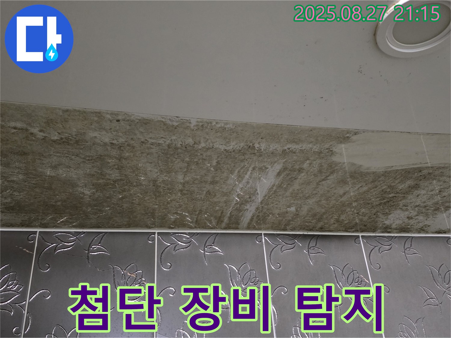 성남시 분당구 운중동 산운마을 아파트 - 곰팡이 핀 천장 누수, 첨단 장비로 정확하게 탐지합니다.
