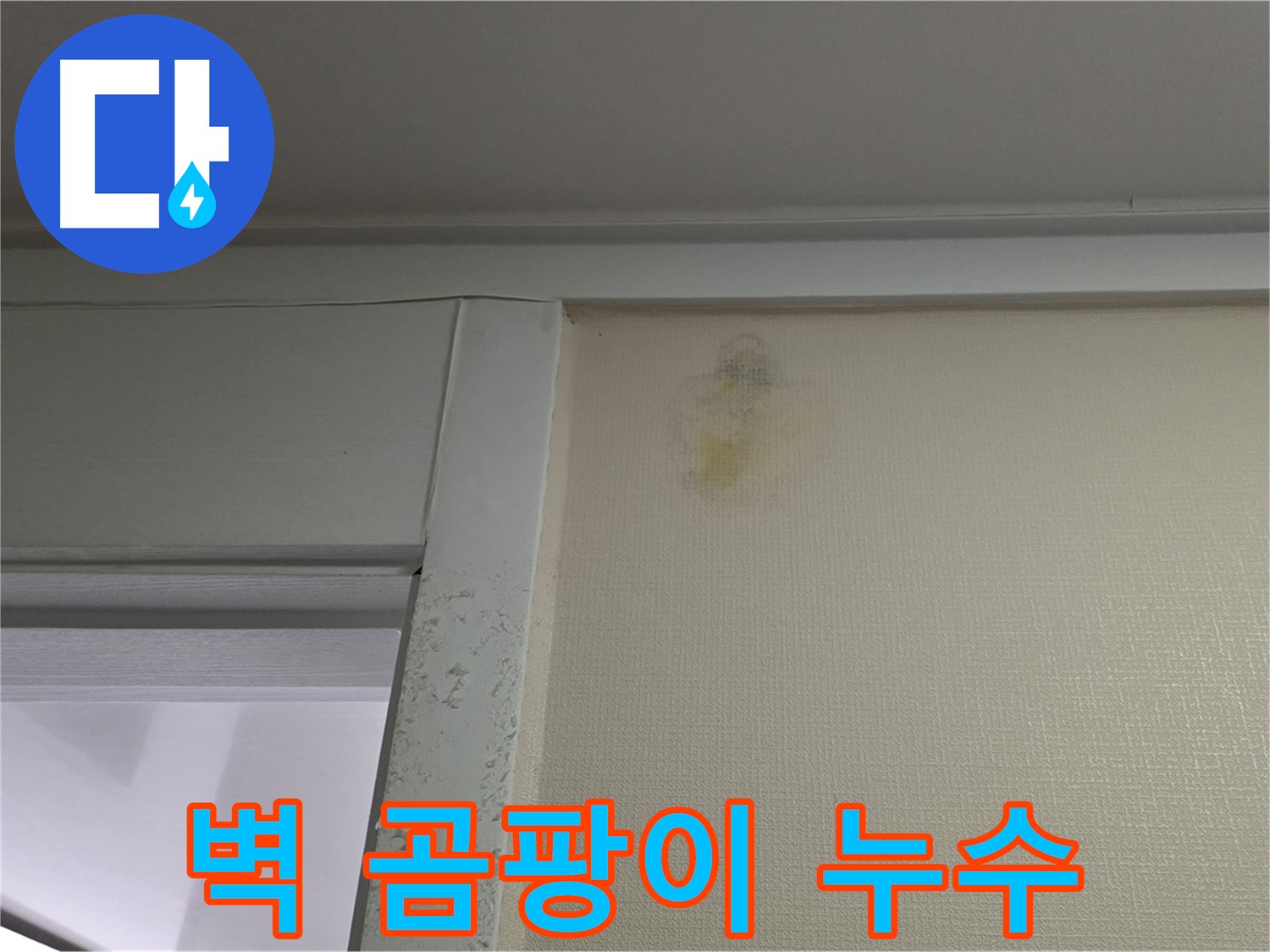 성남시 분당구 운중동 산운마을 아파트 벽 곰팡이 - 누수 원인 진단 및 곰팡이 제거