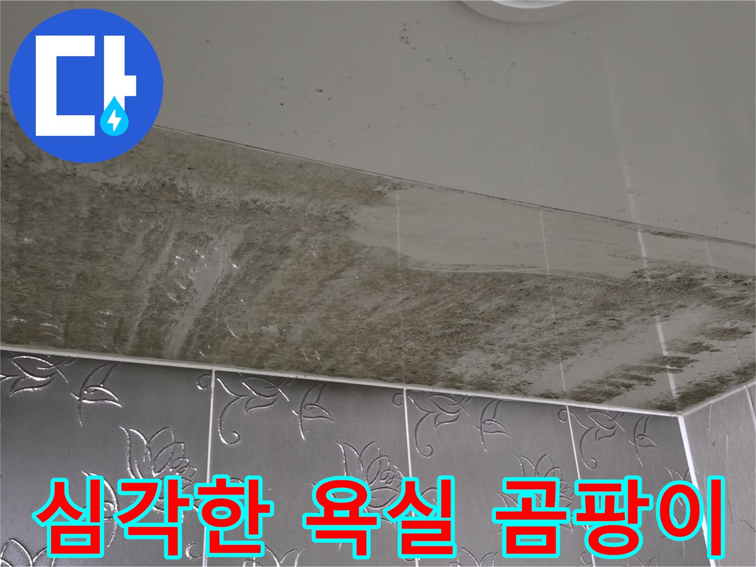 심각한 욕실 곰팡이 - 긴급 누수 해결을 위한 전문적인 진단