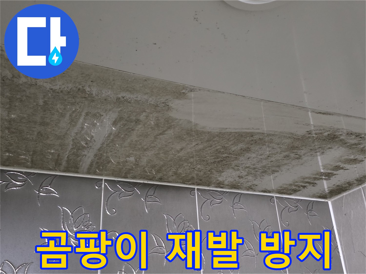 욕실 누수와 곰팡이 - 재발 방지를 위한 완벽한 시공 과정