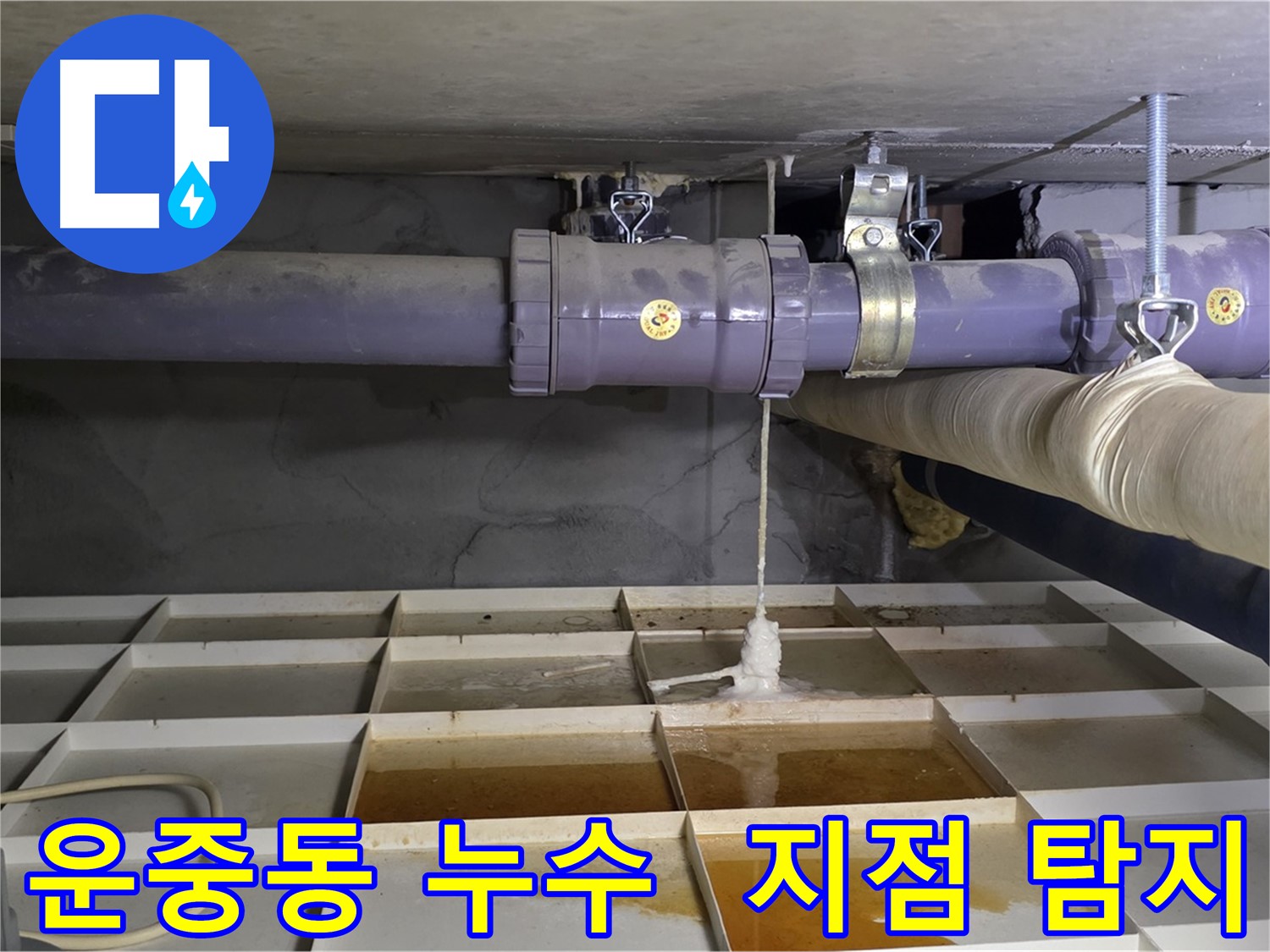 운중동 산운마을 6단지 배관 누수 - 연결부에서 물이 찔끔, 정확한 누수 지점 탐지