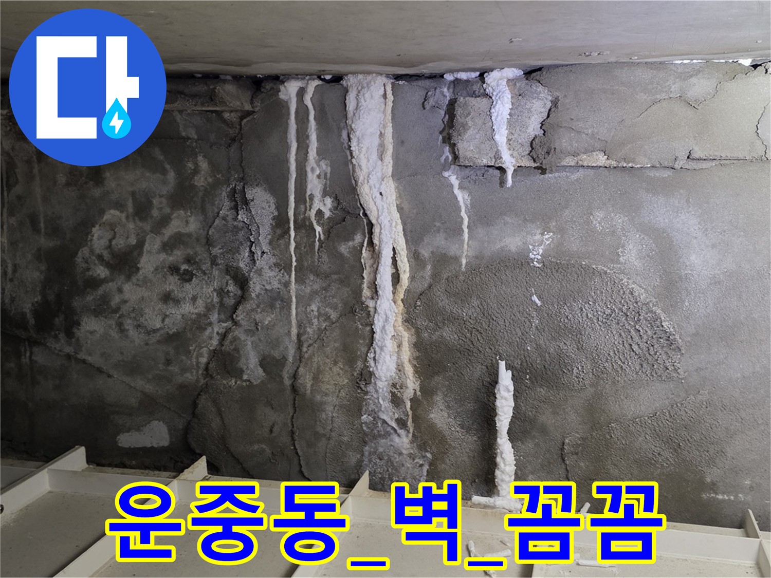 운중동 콘크리트 벽 - 부실 공사, 누수 재발 우려, 꼼꼼 시공