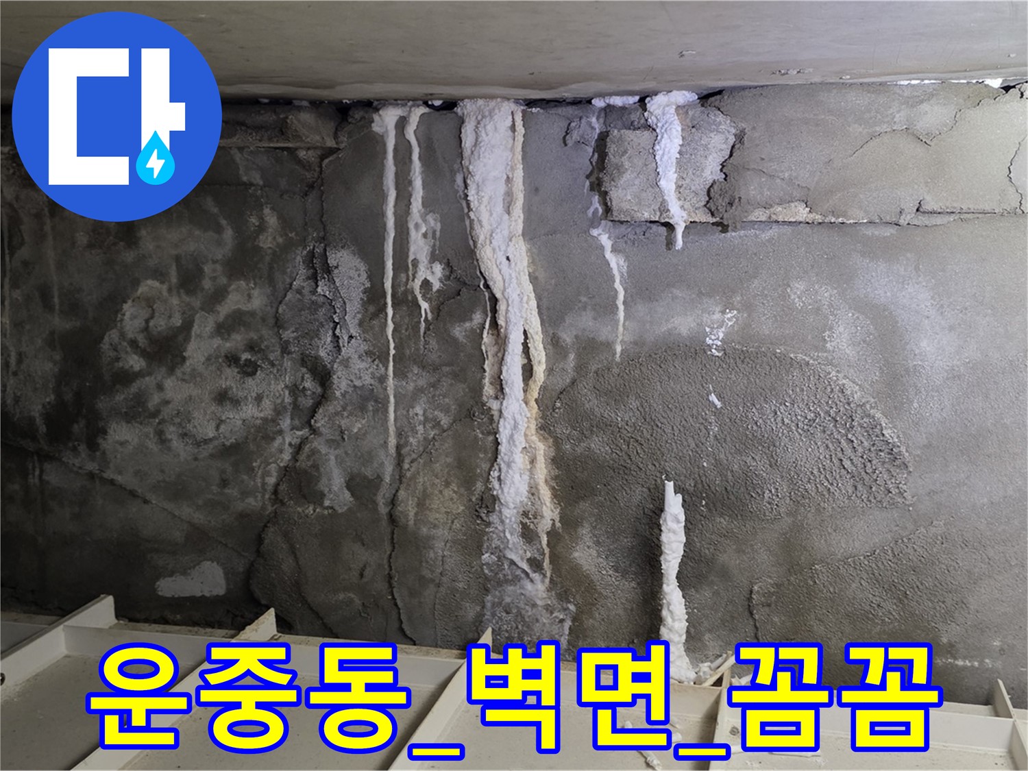운중동 콘크리트 벽면 - 부실 공사로 누수 재발 우려, 꼼꼼 시공