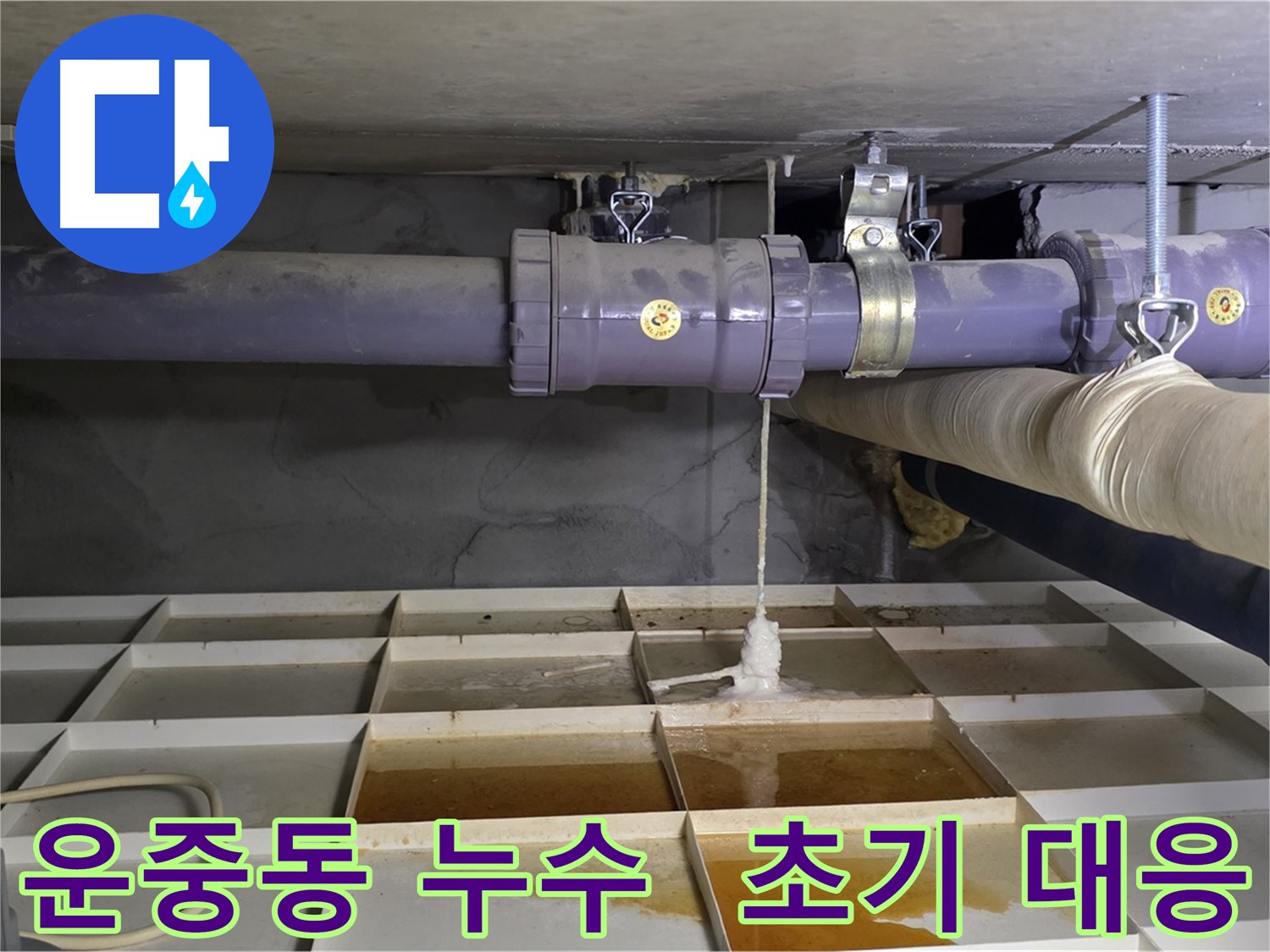 운중동 하수 배관 누수 - 석회 고드름을 통한 초기 대응