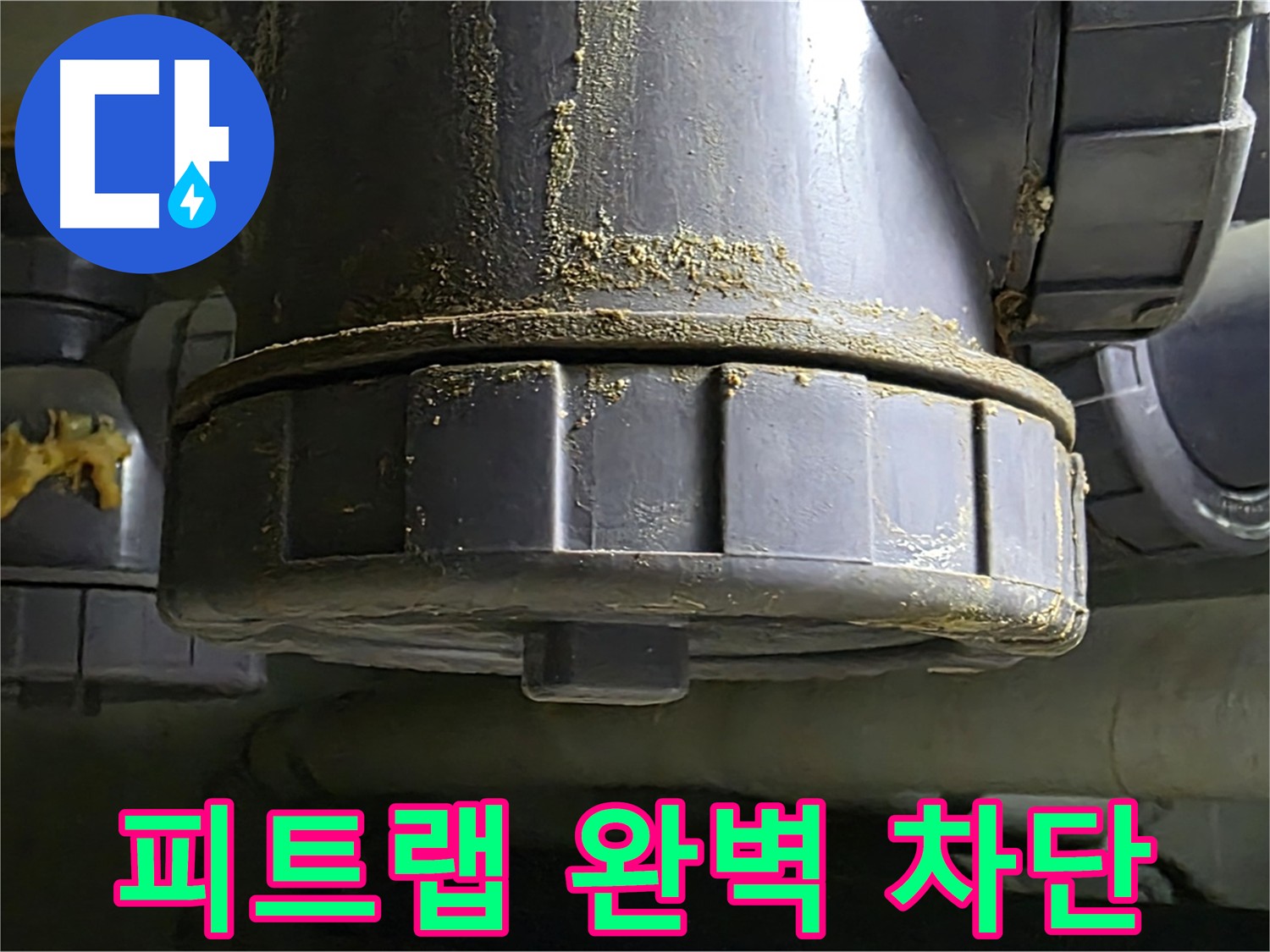 분당구 피트랩 누수 - 완벽 차단 및 배수 시스템 점검 필요