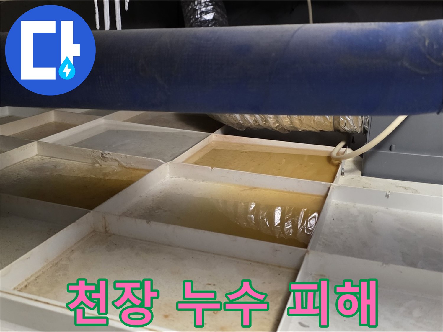 천장 누수로 인한 피해 상황 - 꼼꼼한 점검과 정확한 원인 파악이 중요