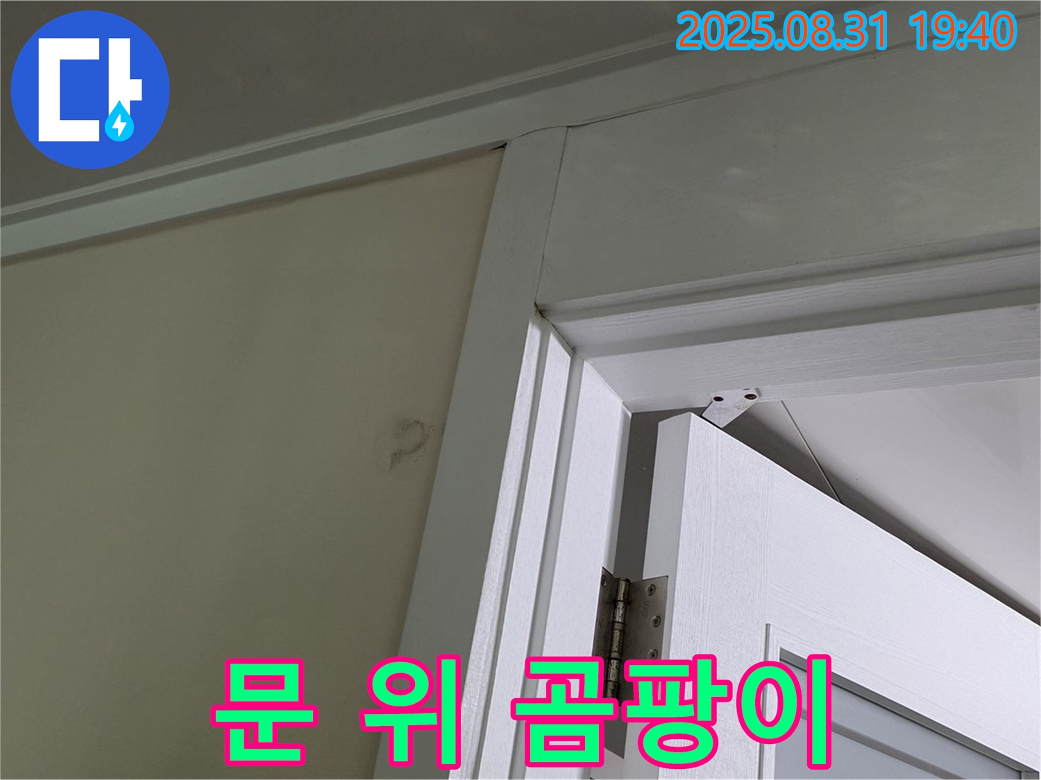 문 위 곰팡이 - 문 위 천장에 곰팡이가 발생했습니다.