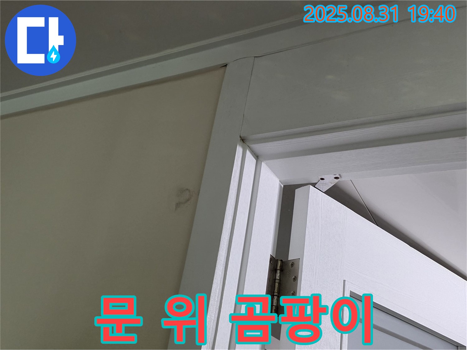 문 위 곰팡이 - 문 위 천장에 곰팡이가 발생했습니다.