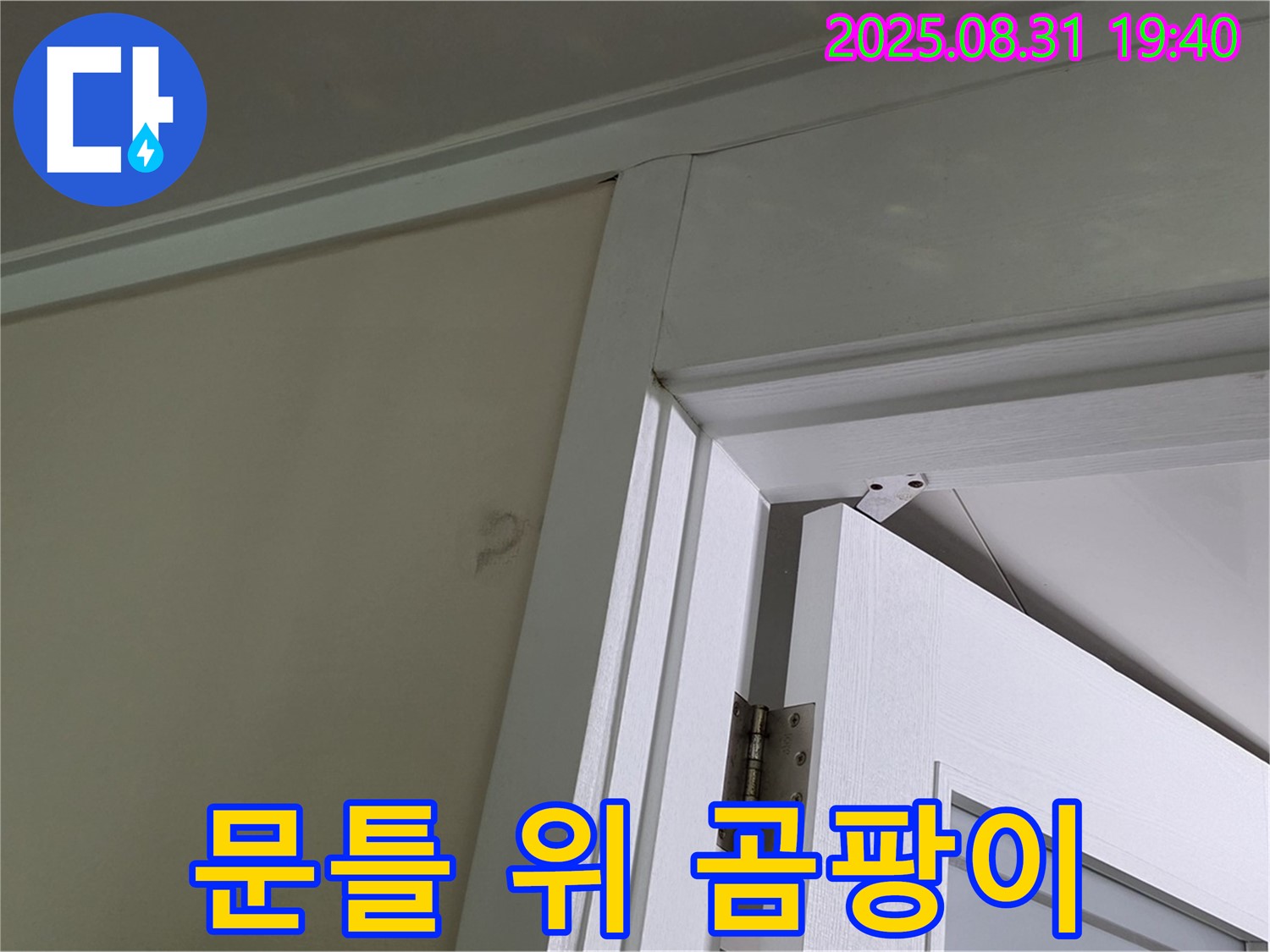 문틀 위 곰팡이 - 문틀 위 천장에 곰팡이가 발생했습니다.