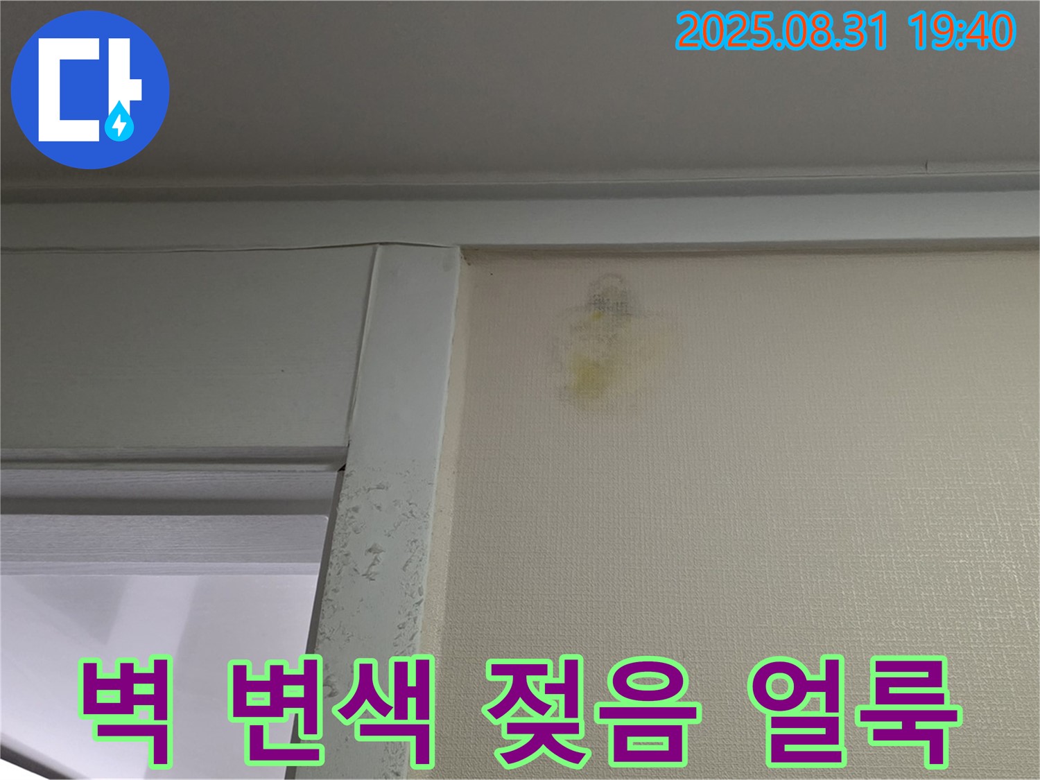 벽 변색 - 젖음 - 얼룩 - 분당 산운로 누수