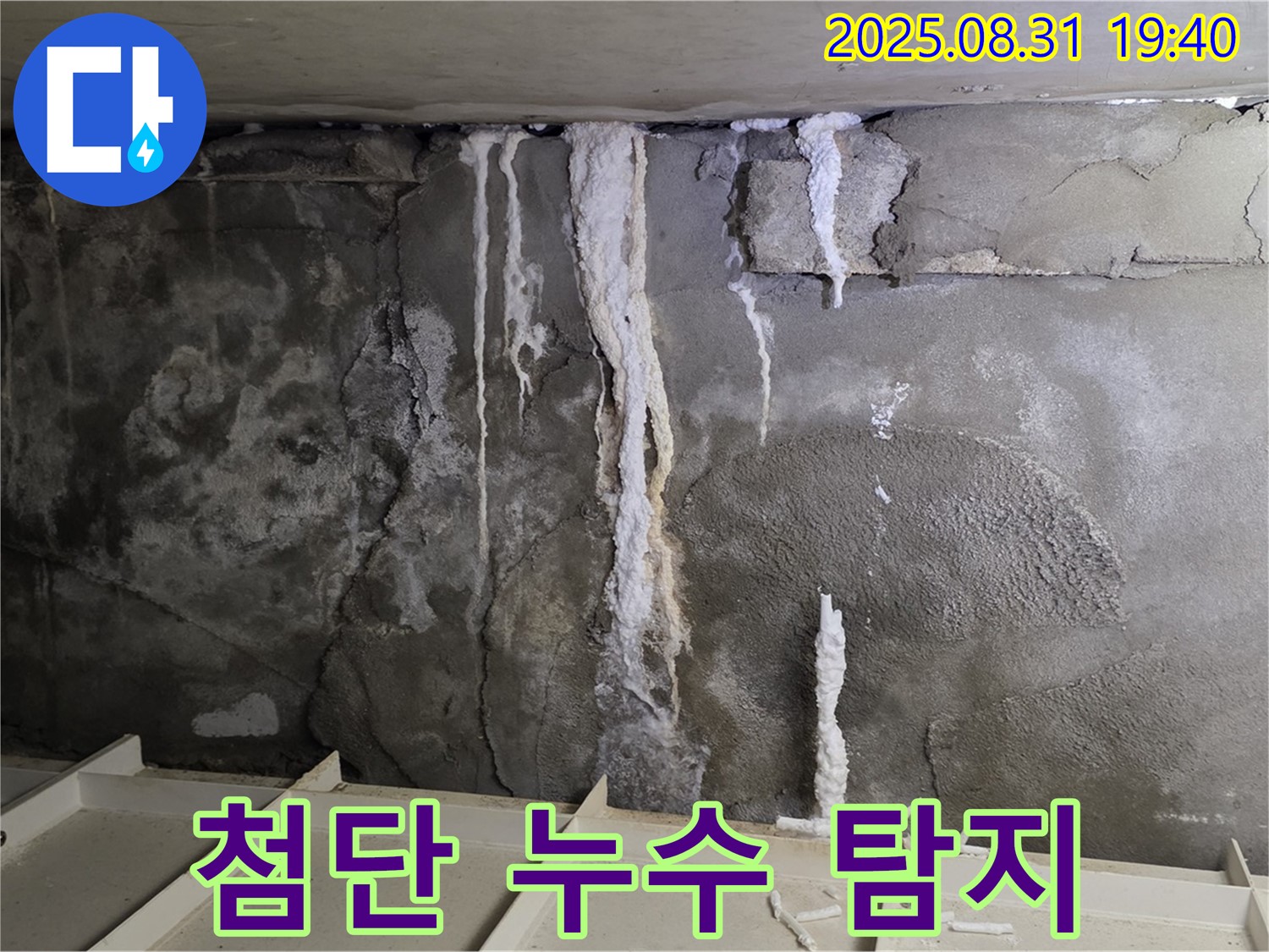 분당 건물 콘크리트 누수 - 열화상 카메라로 콘크리트 내부 숨은 누수 지점 탐지