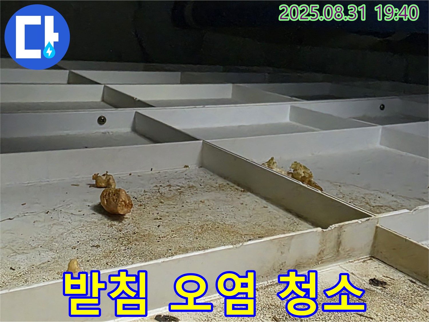 분당 구미동 누수 - 천장 배수 받침 오염, 원인 해결 후 청소 완료
