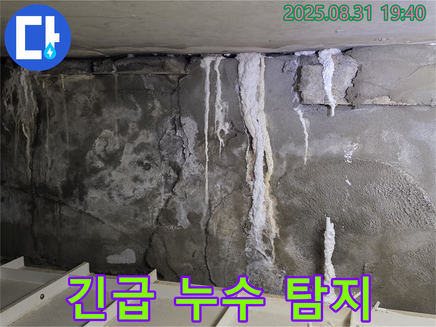 분당 긴급 누수 탐지 - 콘크리트 벽면의 심각한 누수 흔적을 신속하게 탐지합니다.