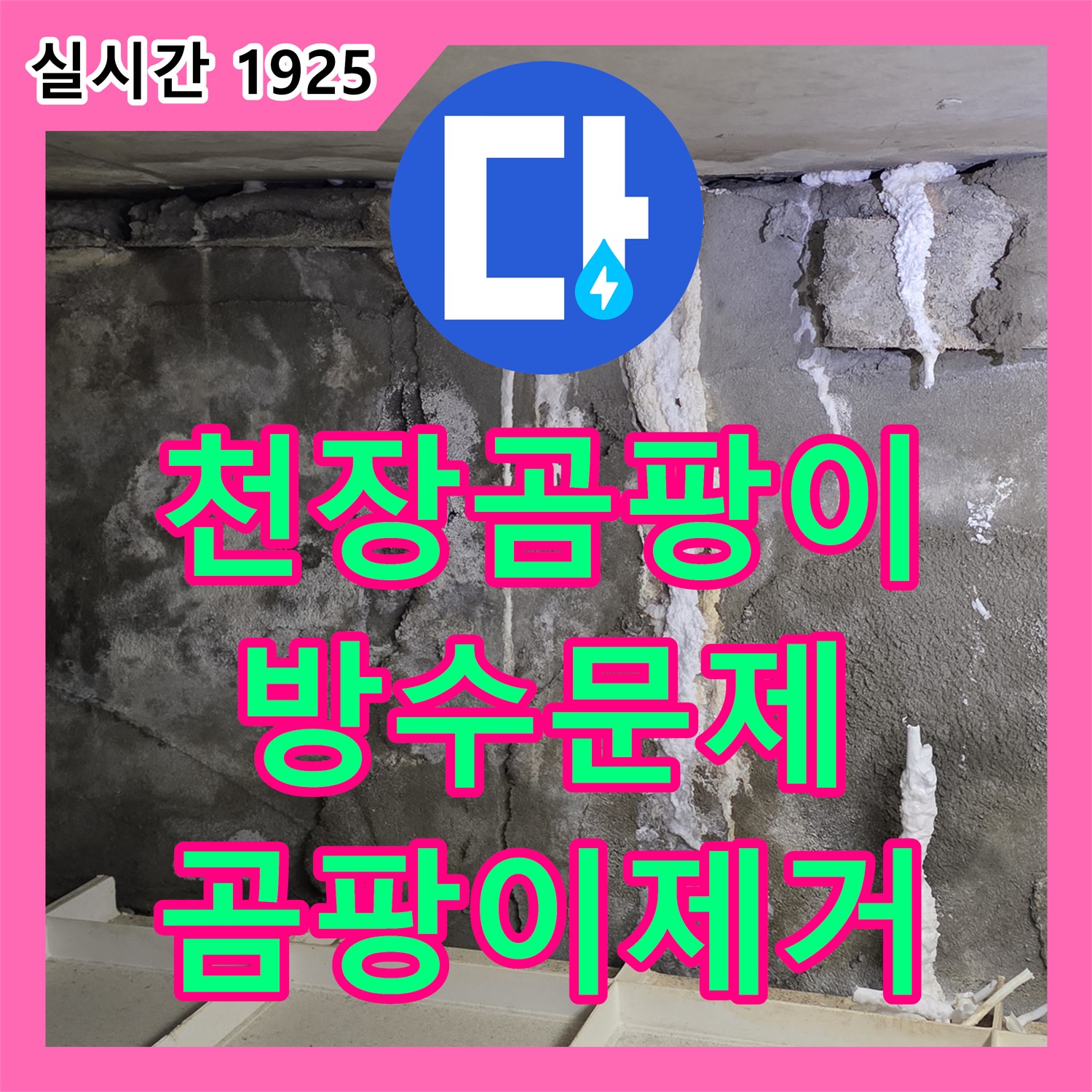 분당 누수탐지, 산운로 천장 곰팡이, 윗집 방수 문제 해결 및 제거