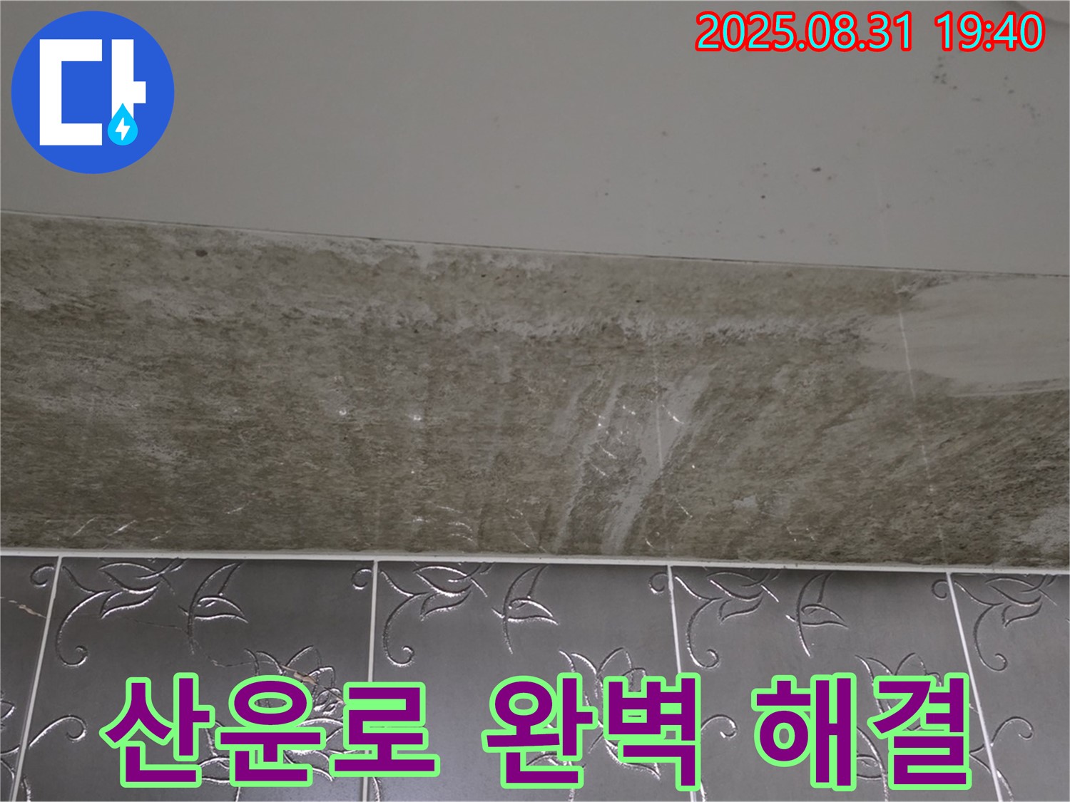 분당 산운로 욕실 누수 - 곰팡이 완벽 해결!