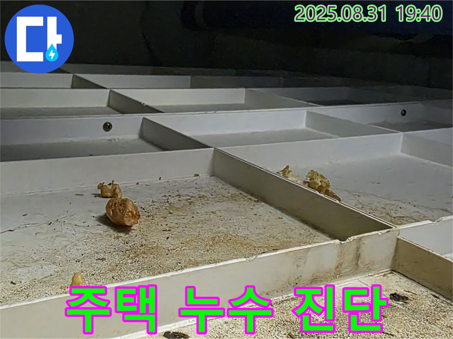 분당 산운로 주택 누수 - 누수 원인 꼼꼼 진단 과정