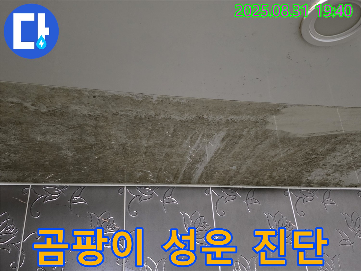 분당 서현동 욕실 천장 누수 - 곰팡이가 성운처럼 핀 누수, 긴급 진단!