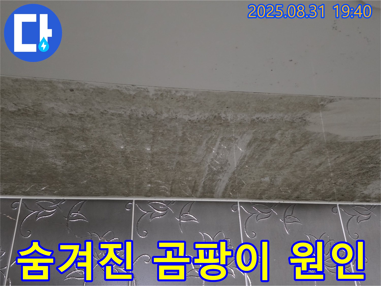 분당 정자동 욕실 곰팡이 - 숨겨진 누수 원인을 찾아 해결합니다