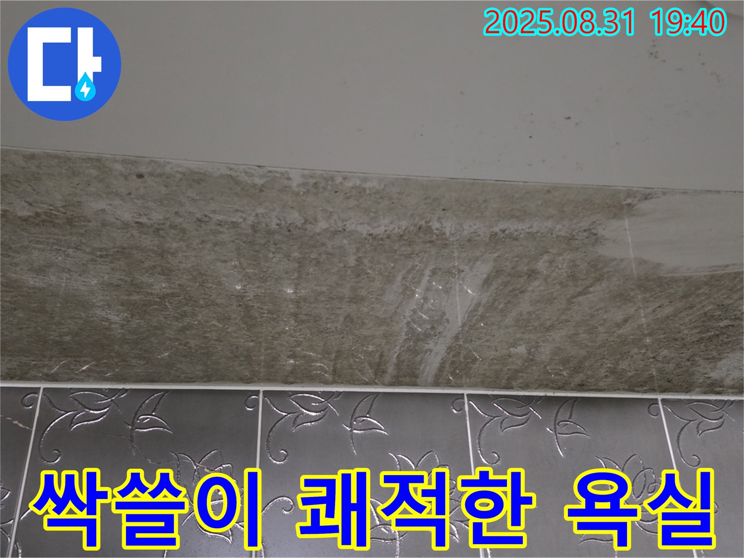 분당구 산운동 욕실 - 곰팡이 싹쓸이 쾌적한 욕실 되찾기