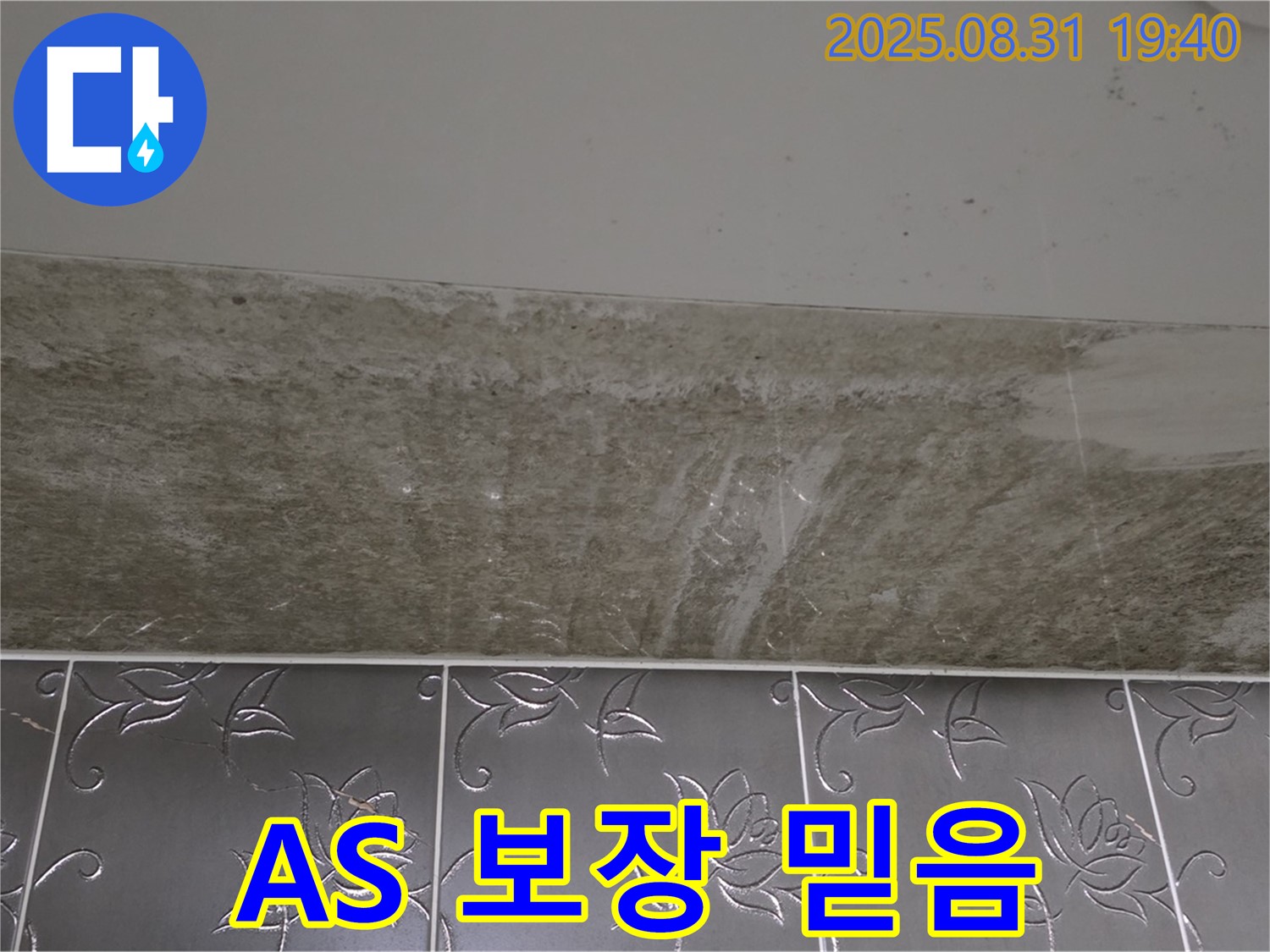 분당구 산운로 121 욕실 곰팡이 - 곰팡이 제거 완벽 A/S 보장