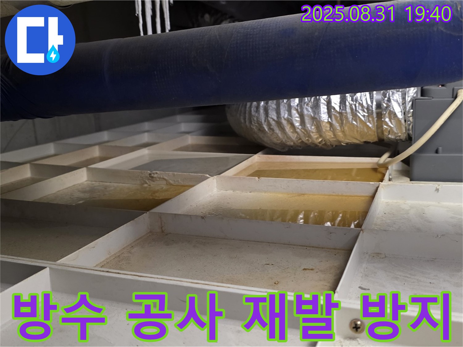 성남 분당 산운로 건물 천장 누수 - 완벽 방수 공사로 누수 재발 방지 약속