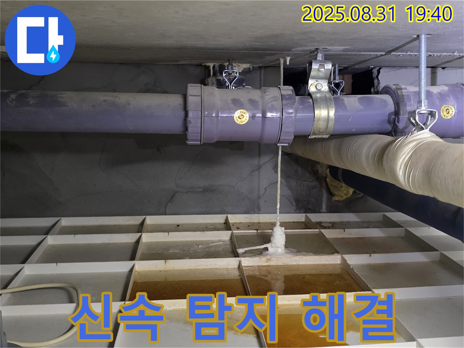 성남시 분당구 누수 - 신속한 탐지와 완벽한 해결로 누수 고민 해결