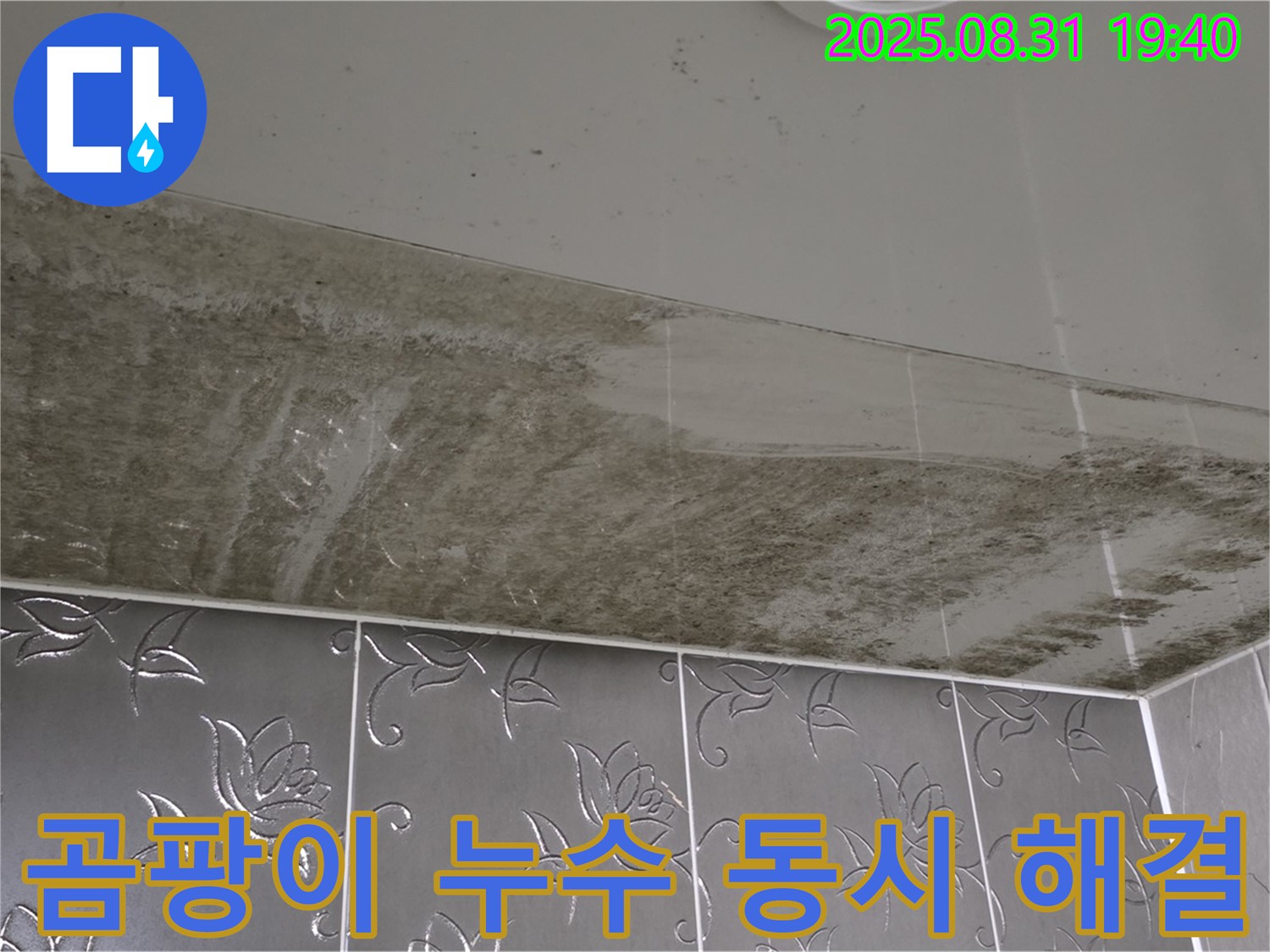 성남시 분당구 산운동 아파트 - 곰팡이 누수 동시 해결
