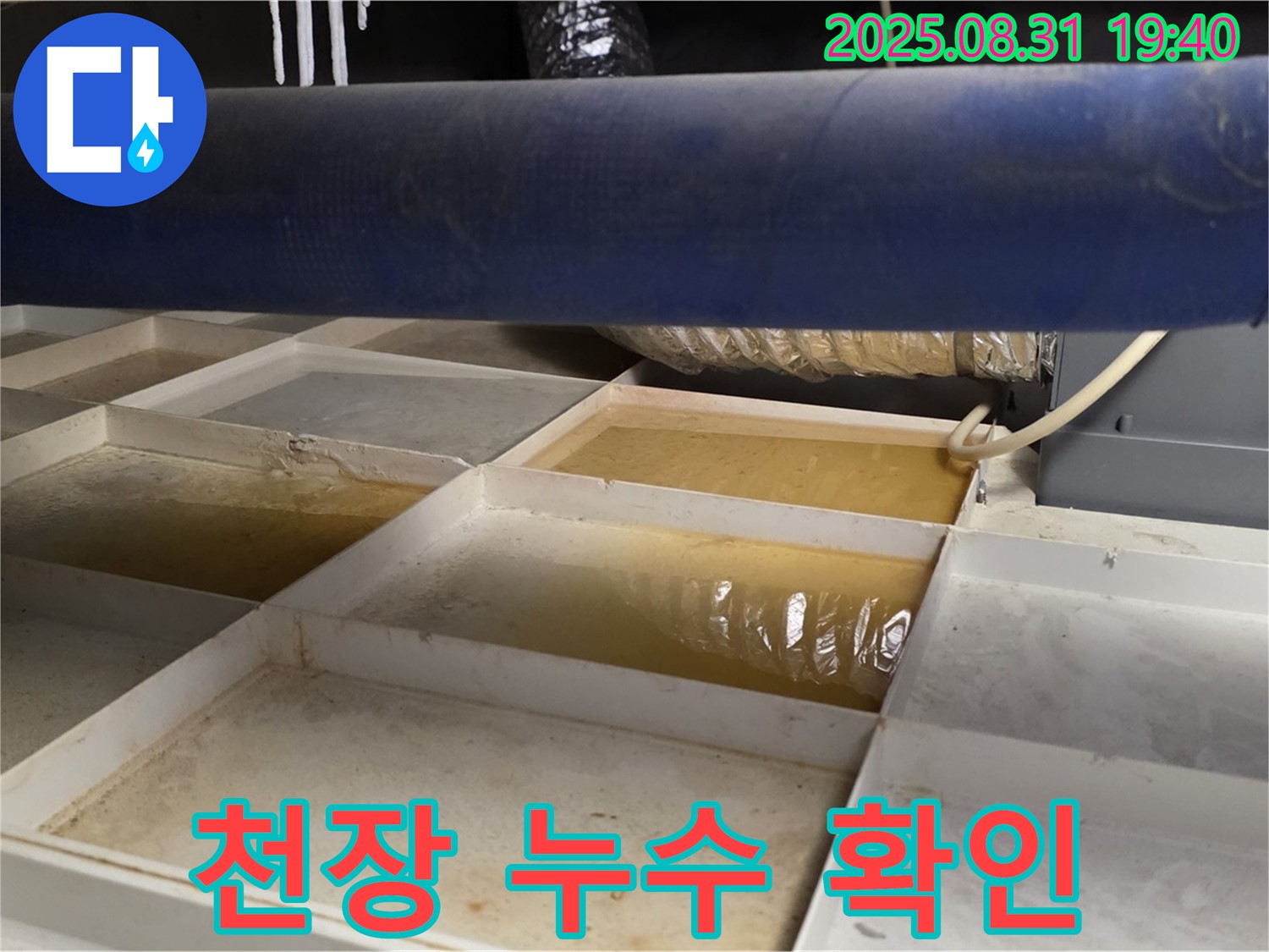 천장 누수 확인 - 천장 트레이에 고인 물을 통해 누수 발생 여부를 확인하고 있습니다.