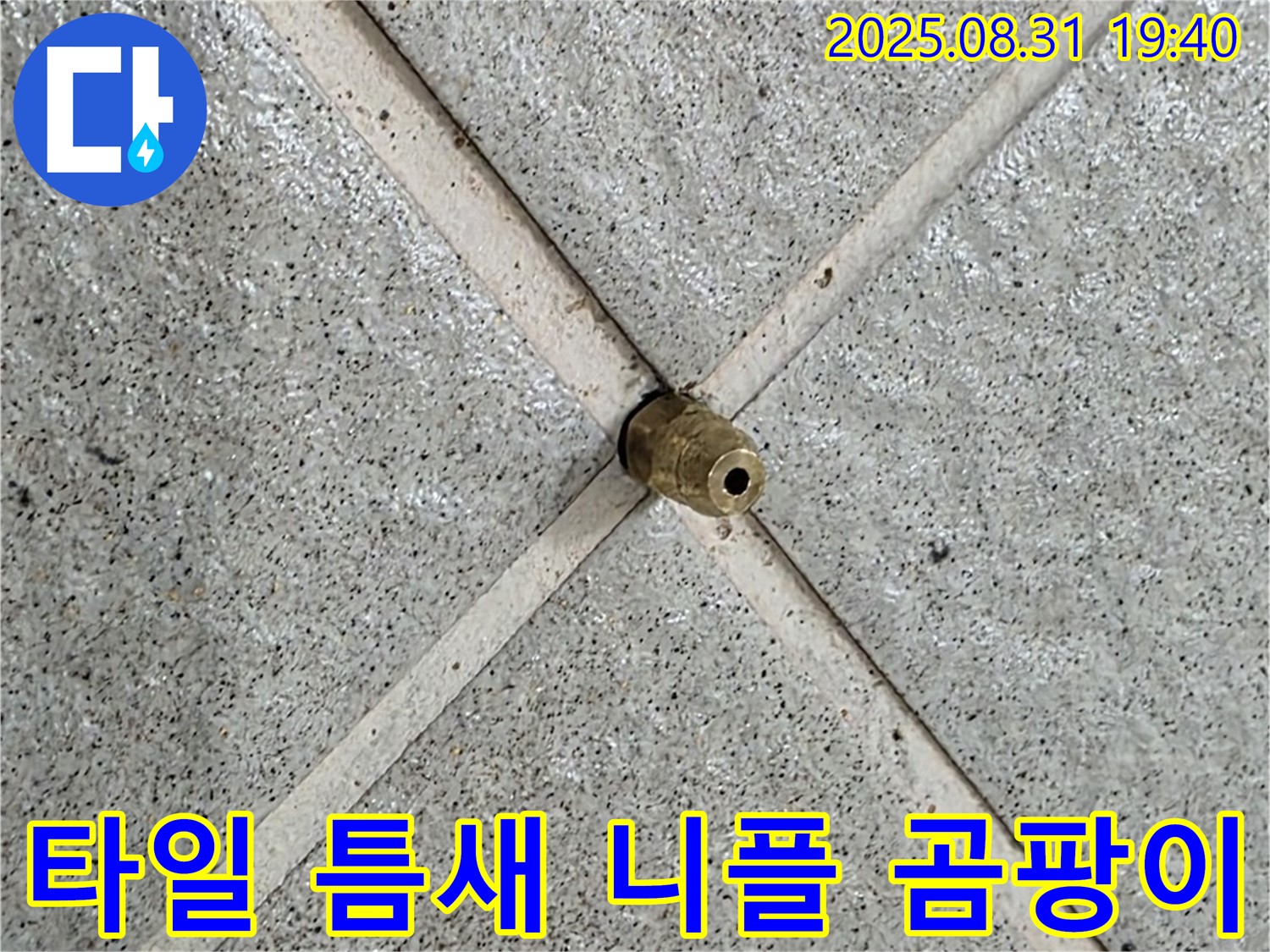 타일 틈새 니플 완벽 제거 후 곰팡이까지 싹 - 깨끗한 공간으로!