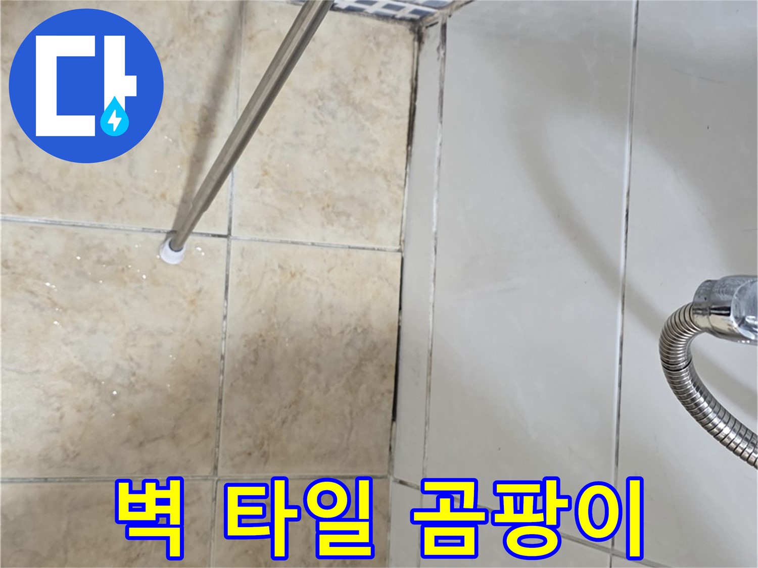 벽 타일 하단 - 검은 곰팡이 - 누수 초기 증상 - 확인