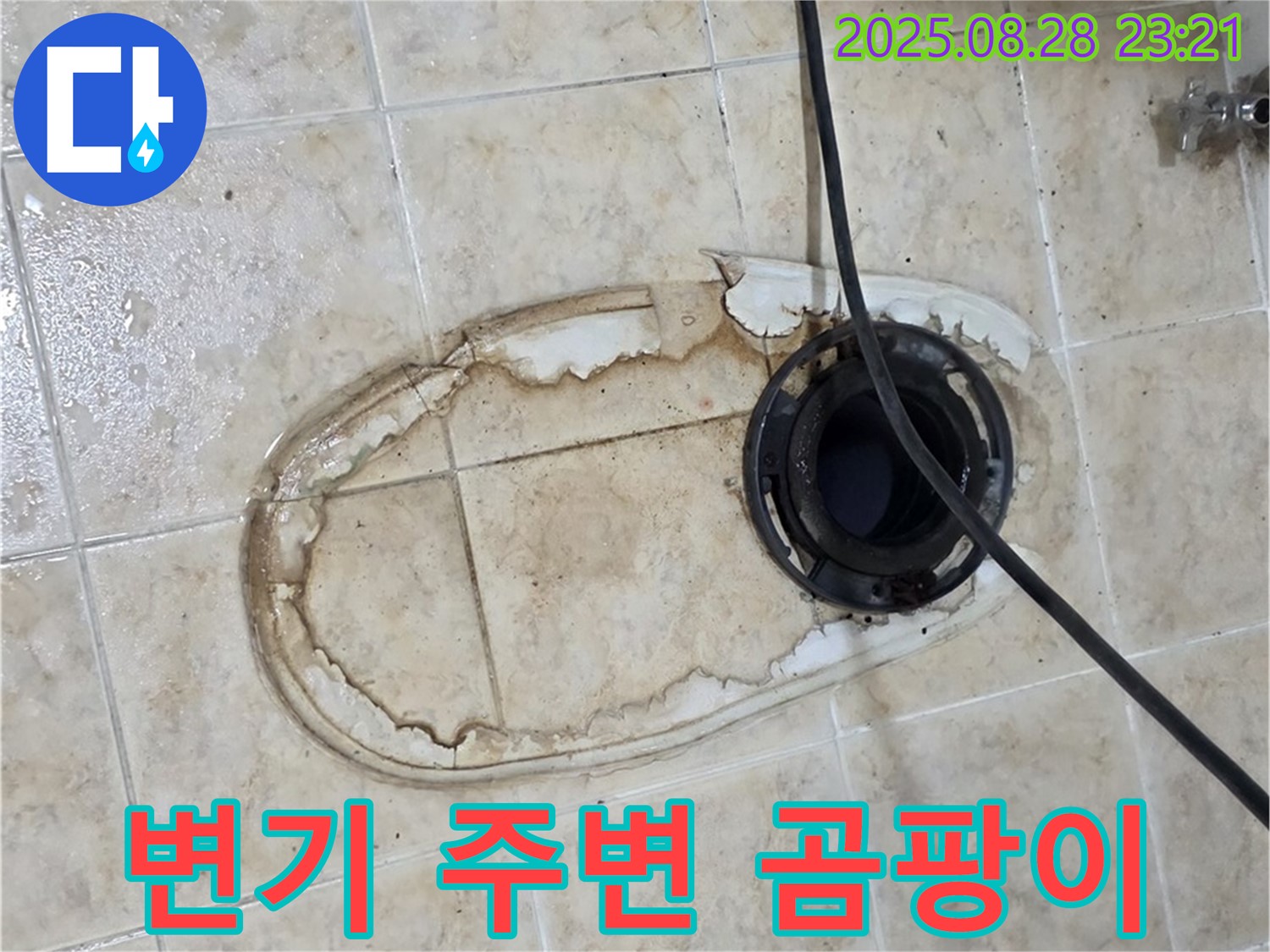 변기 주변 곰팡이 - 누수로 인한 곰팡이 발생 가능성
